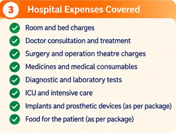 Illustration showing how the ₹5 lakh PM-JAY family health cover can be used by eligible family members